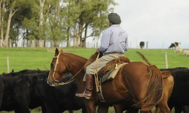 Se definió el ajuste salarial para el campo, con aprobación de empleadores y rechazo de trabajadores
