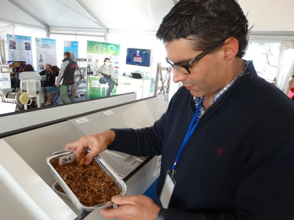 Gastón Moroni y una de las 140 muestras de forraje evaluadas