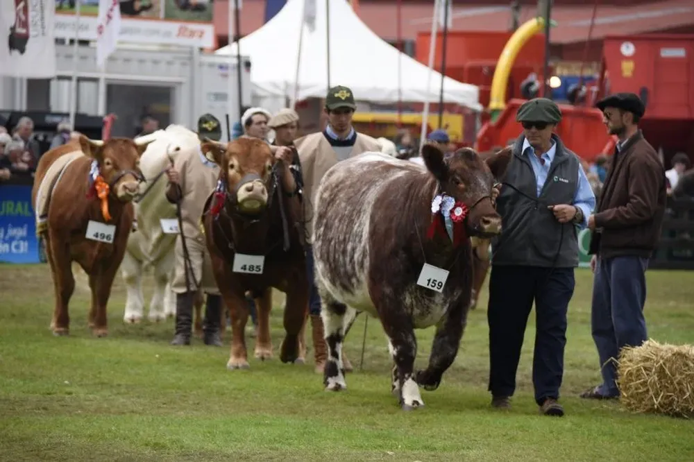 La muestra convoca en promedio a unas 400 mil personas cada año