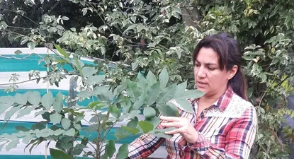 El Observador | 0017352276.webp