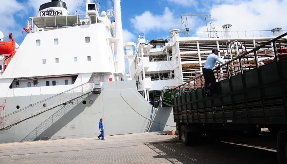 Este año Egipto captó el 79,8% de las exportaciones en pie