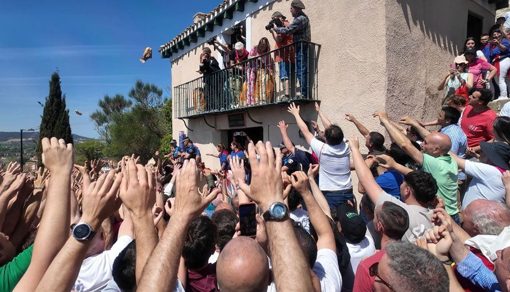 PALENCIA 2
