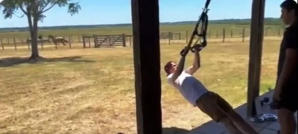 Cavani, el entrenamiento, un caballo al galope y el campo