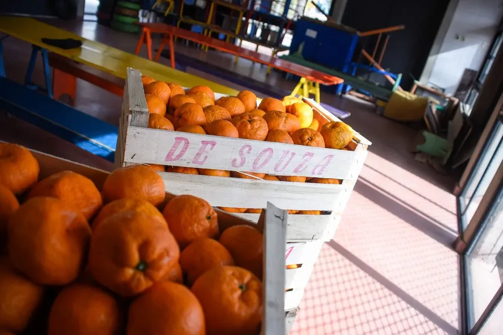 En vacaciones no habrá entrega de viandas, aseguraron las autoridades de Primaria