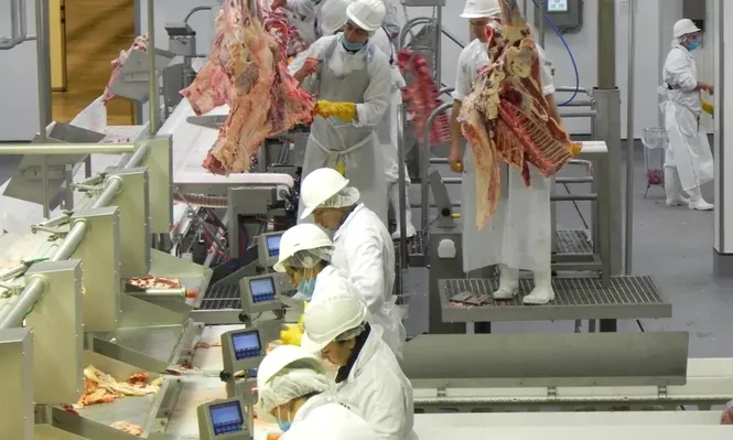 La faena descendió