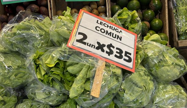 Lechuga: de oferta en locales del MAM.