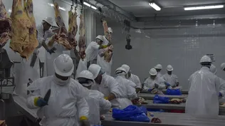 INAC actualizó los datos relacionados con ingresos por exportaciones de carnes.