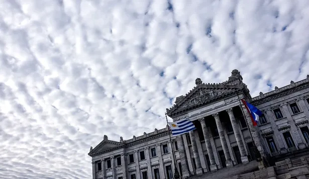 Los seleccionados tendrán una jornada laboral de seis horas diarias
