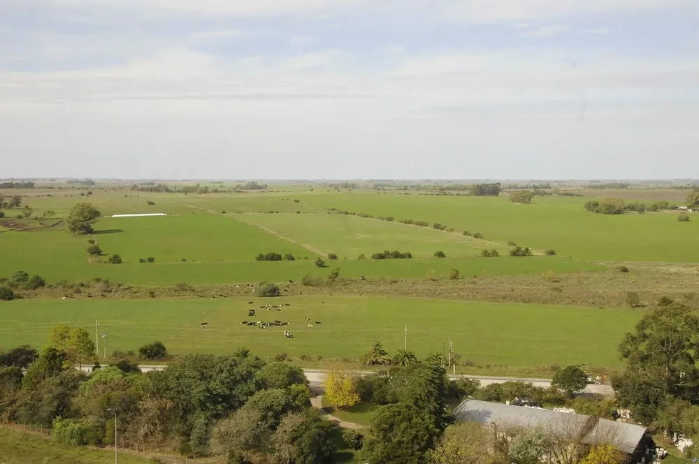 En 2020 el promedio de precio para la compraventa de tierras fue US$ 3.295/ha
