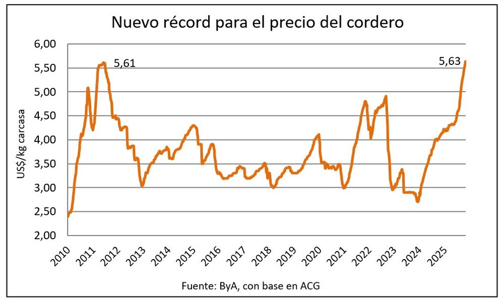 Cordero: ascenso de vértigo en el valor.