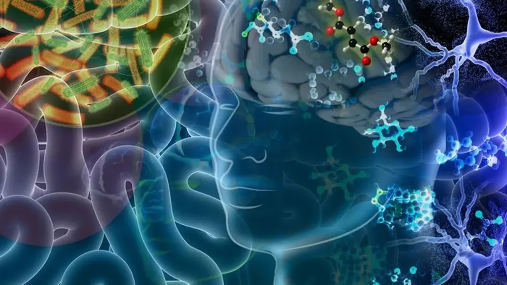 Microbiota intestinal