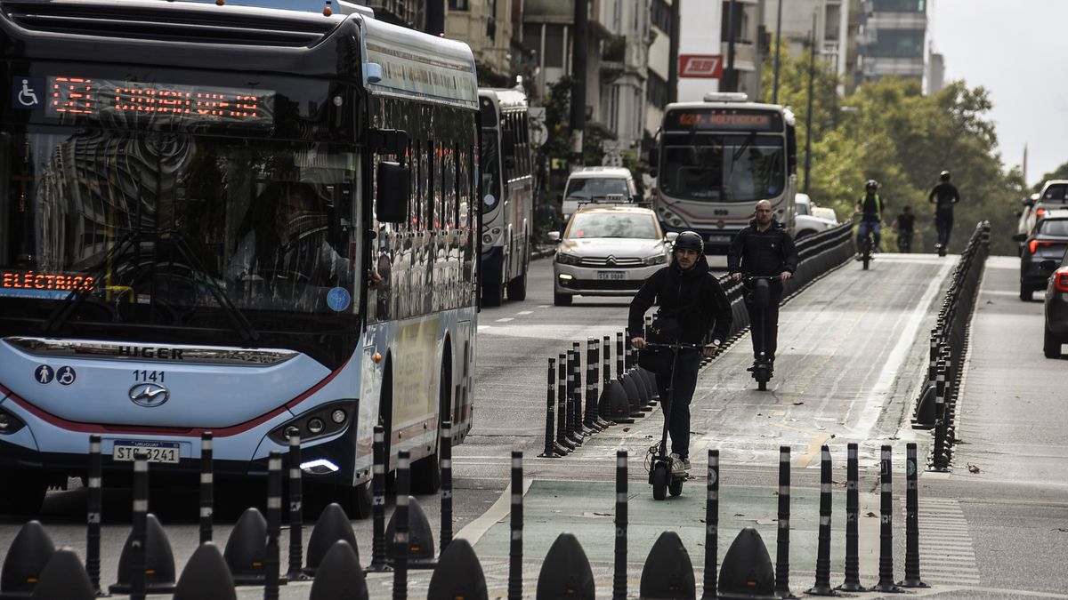 Imagen noticia completa