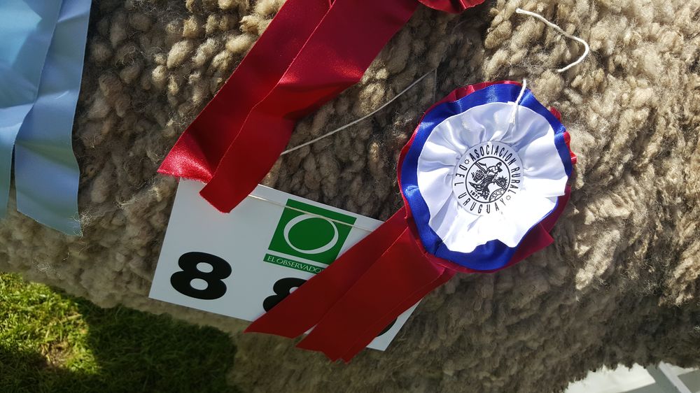 Expo Rural Prado, desde el 6 al 15 de setiembre, en la Rural del Prado.