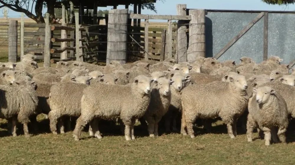 La capacitación es clave para los pequeños producotres