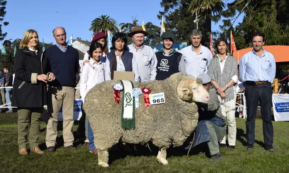 El mejor entre decenas de ejemplares Merino Australiano que pasaro por la pista.