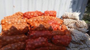 Cargmento de papas y cebolla de contrabando que ingresó desde Brasil