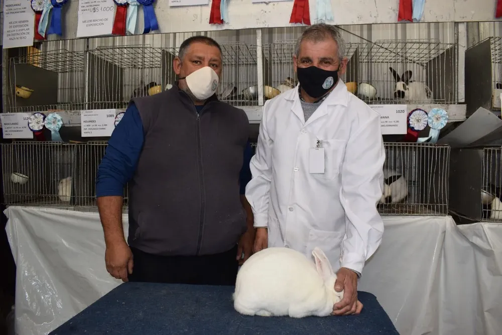 Hugo Piva, Gustavo Zícari y el mejor de todos los conejos que llegó desde Carmelo.