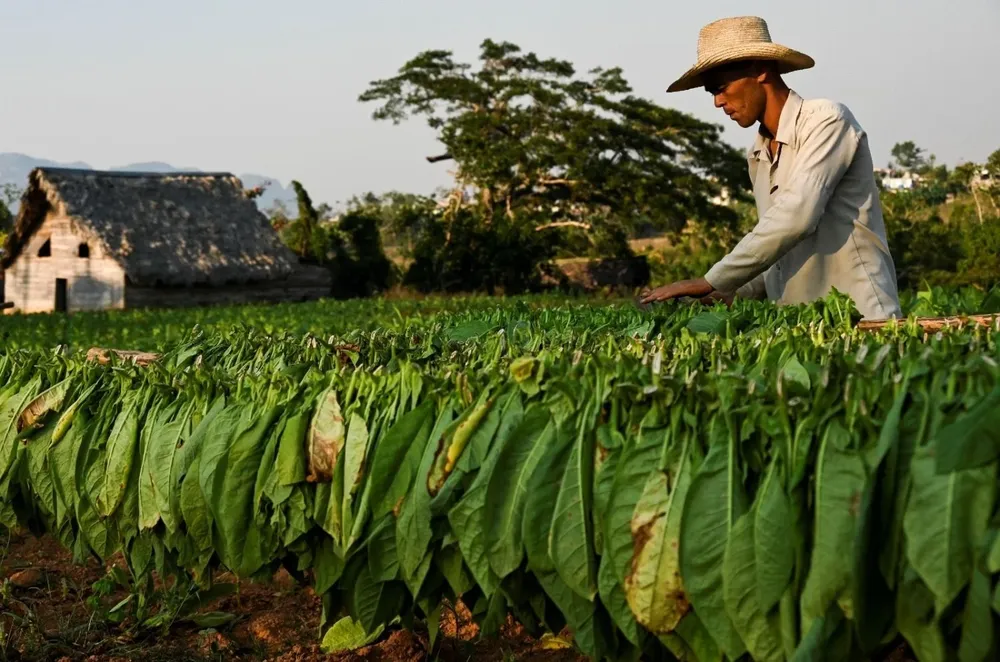 Agricultura, una actividad de alta relevancia en América Latina y el Caribe.