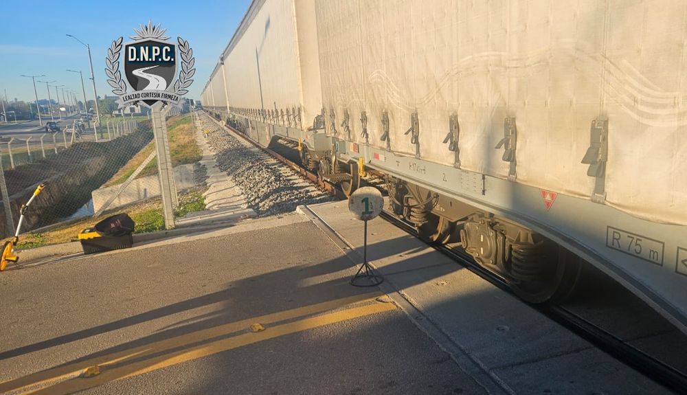 WhatsApp Image 2025-08-05 at 09.24.59