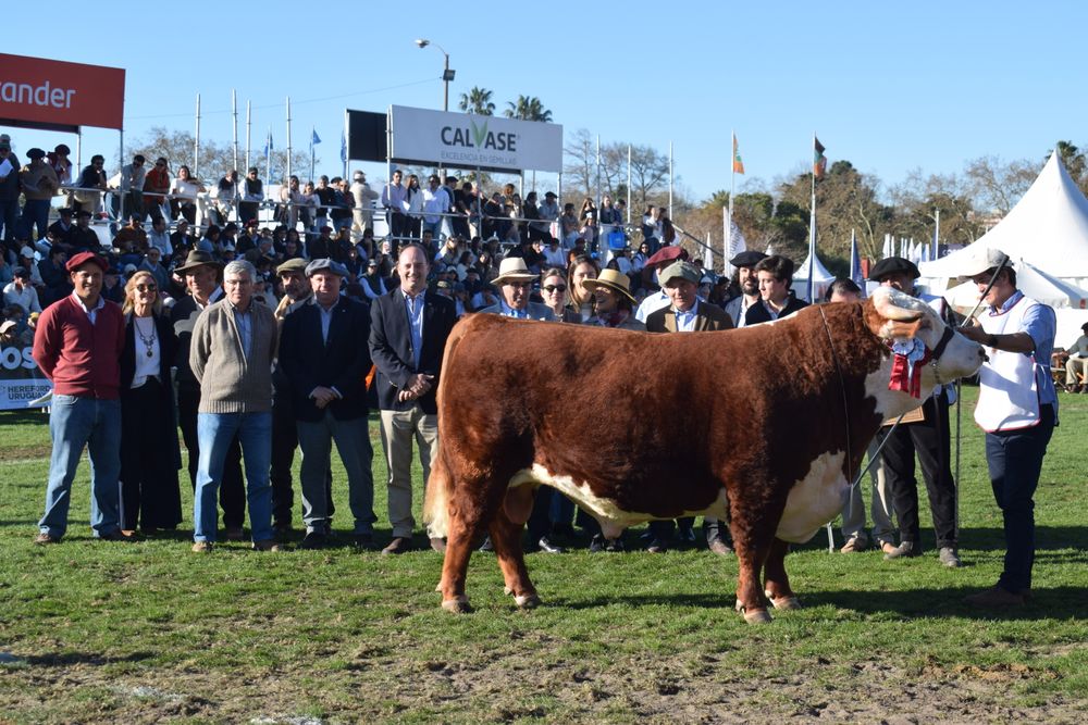 El Gran Campeón en la variedad de los astados.