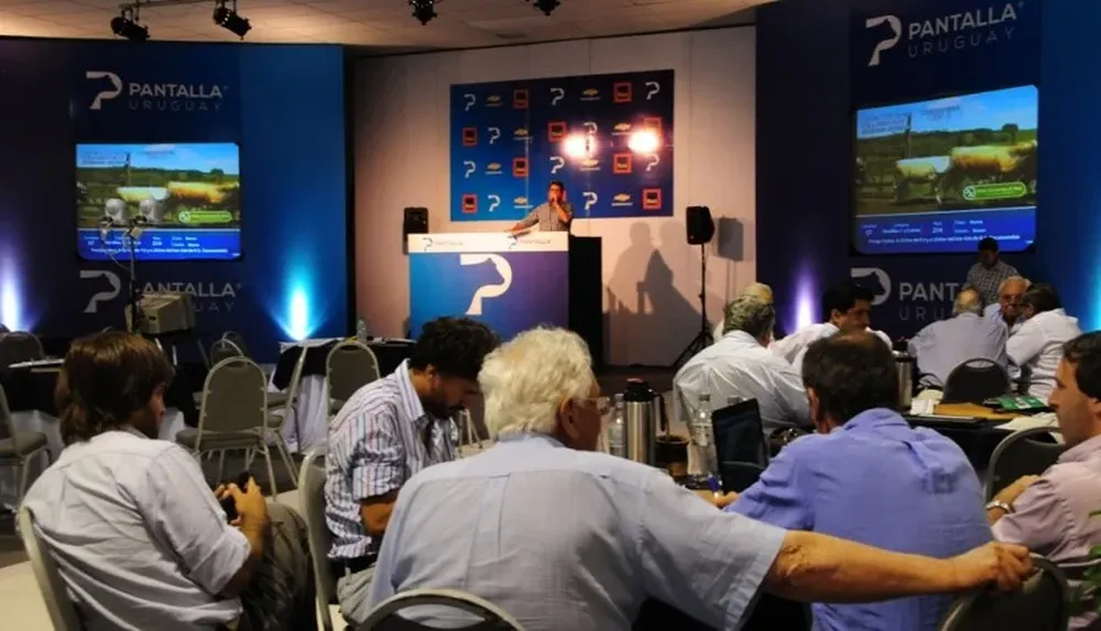 El trabajo en equipo dio muy buenos resultados