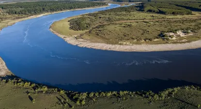 Uruguay fomenta la conservación de sus bosques nativos.