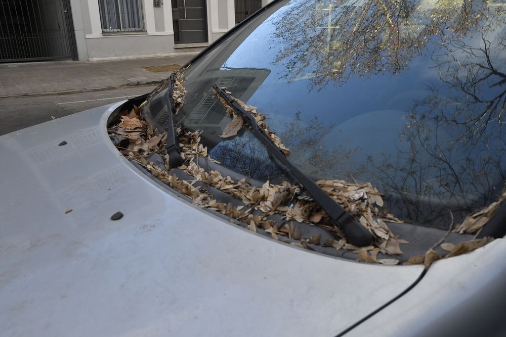 Auto abandonado en Montevideo