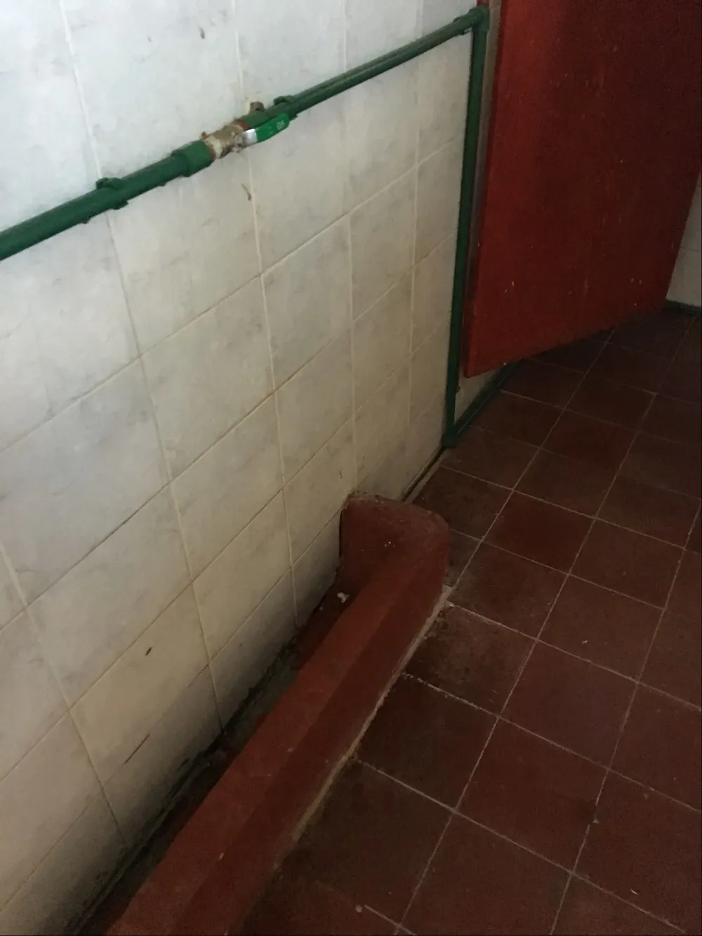 Baño Parque Saroldi