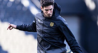 Felipe Avenatti&nbsp;