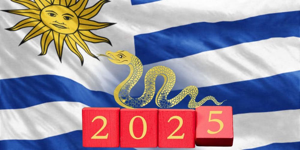 AÑO NUEVO CHINO URUGUAY 2025.jpg