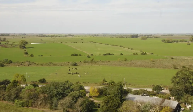 El encalado de suelos agrícolas como motor económico: 0,5% del PIB y mil empleos en juego