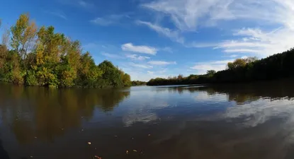 El Observador | 0001420222.webp