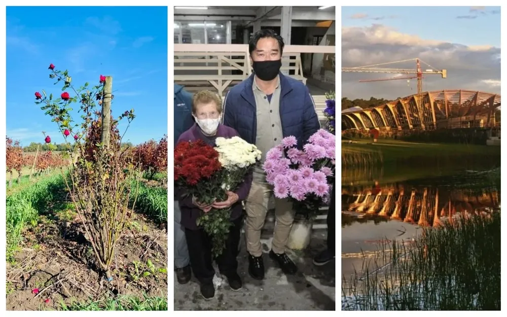 Vinos, flores y un futuro museo, en esta edición de Picnic