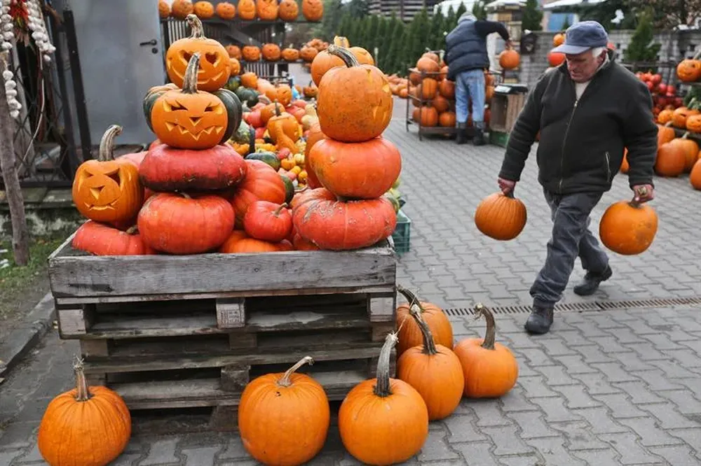 Polonia- Un hombre carga con calabazas decoradas con motivo de Halloween en venta en Lesznowola