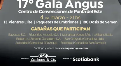 Gala Angus