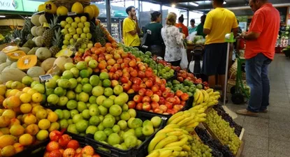 El Observador | 0000014457.webp