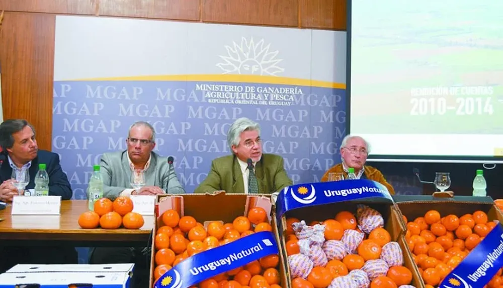 Balance del Plan Estratégico en el MGAP