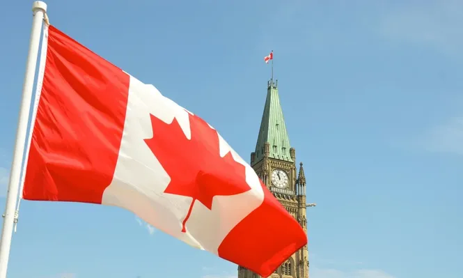 Desde América del Norte llega una oportunidad única para estos profesionales.