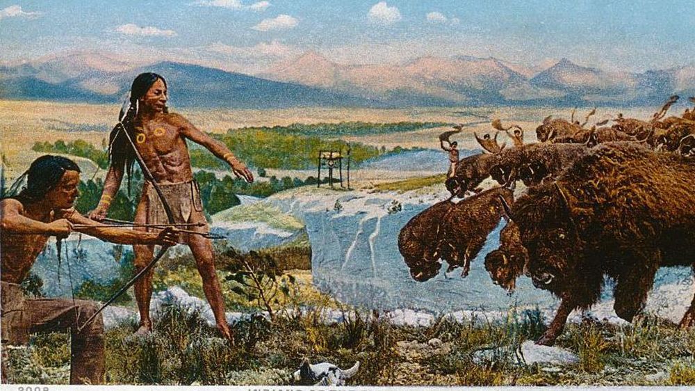 Los nativos americanos consumían la carne del bisonte, y luego se secaba para el invierno; la piel se utilizaba para la cubierta del tipi y para la ropa.