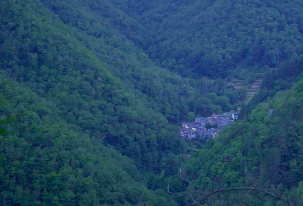 La proyección del documental Bosco, de Alicia Cano, es uno de los eventos destacados