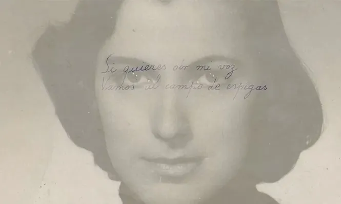 Alcira y el campo de espigas, la película uruguaya que rescata la historia perdida de una leyenda latinoamericana