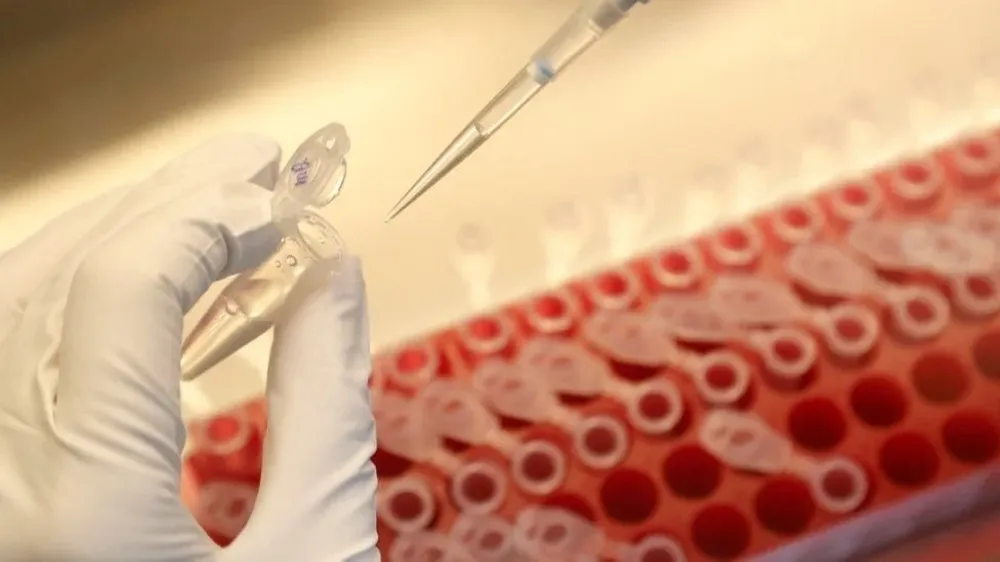 Los países más poderosos se dedicaron a acumular y mal administrar vacunas