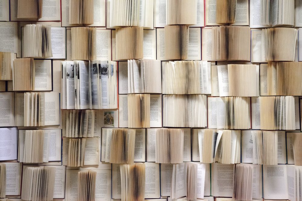¿Qué libro eligen los periodistas de El Observador para recomendar en el Día Nacional del Libro?
