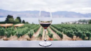 La bodega ya había ganado la medalla de oro en 2019