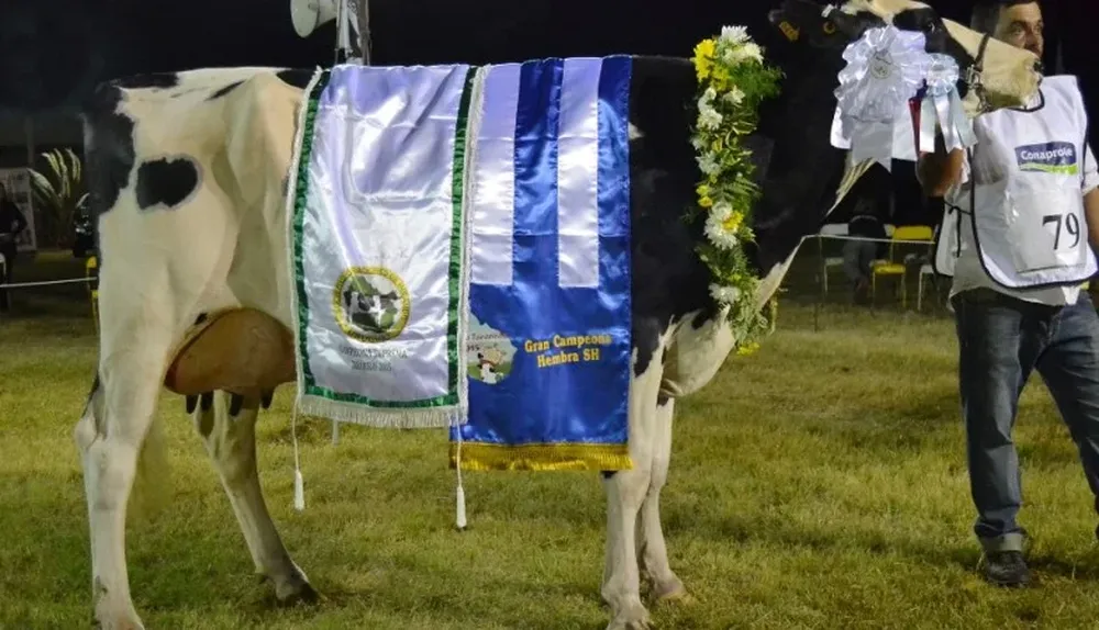 La Campeona Suprema y Gran Campeona SH de La Muesca