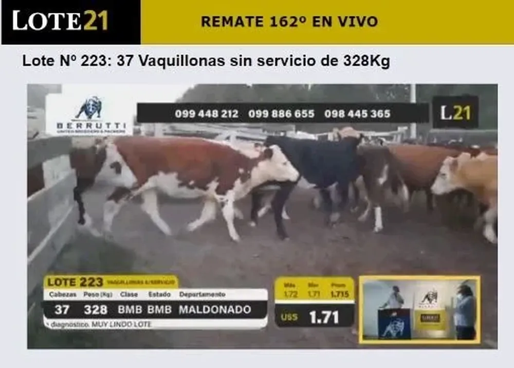 Remate Nº 162 de Lote 21.