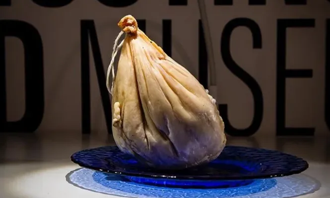 De los creadores del Museo del Fracaso, abre el Museo de Comida Asquerosa