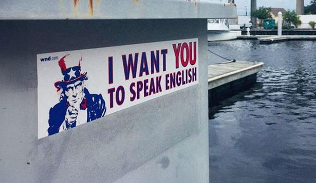 Republicanos, blancos y mayores de 50: el respaldo a Trump para que el inglés sea el idioma oficial de EEUU