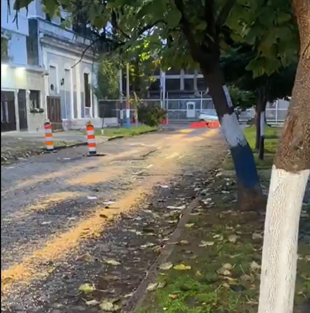 Maíz en la llegada visitante al Gran Parque Central