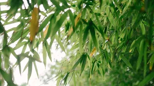 Considerar la sustentabilidad: reducción de riesgos y aumento de rentabilidad